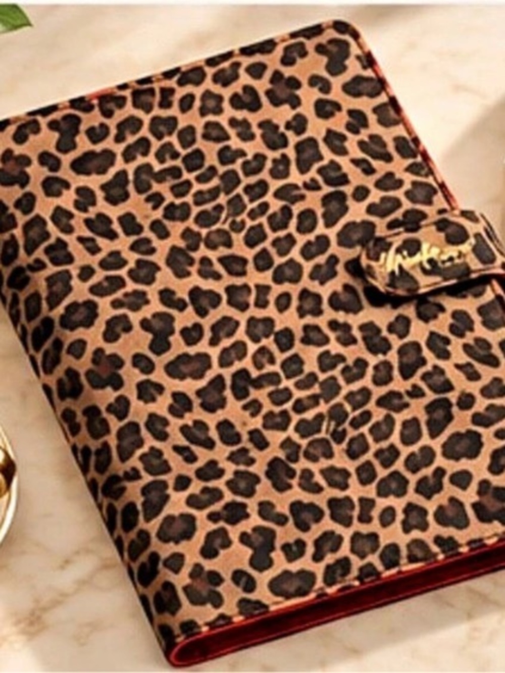 Leopard Print detachable A5 6Ring binder book cover. Journal Organizer Sauvage